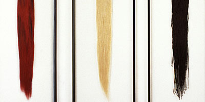 hairinquiry
